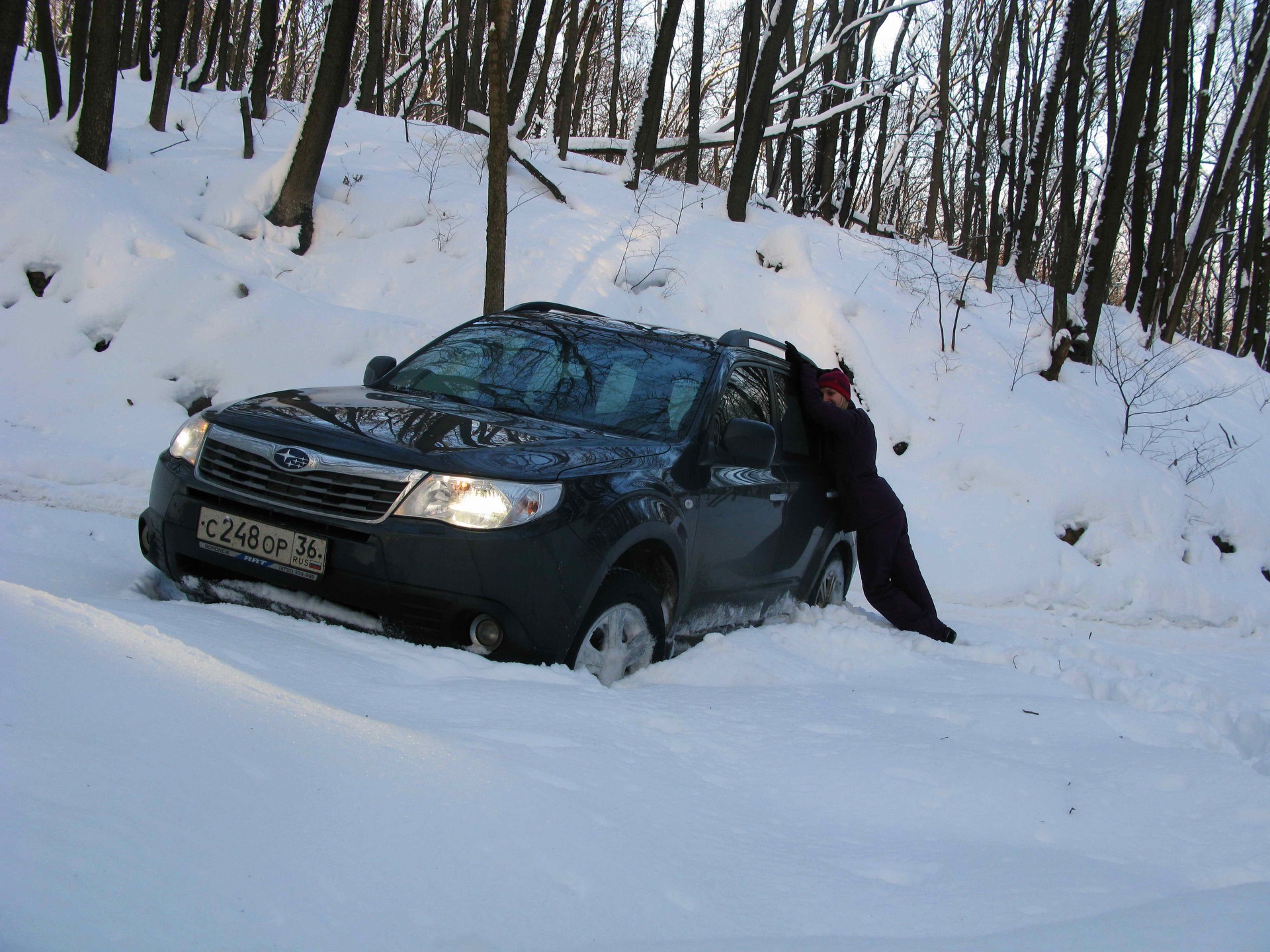 Покатушки зимой. Subaru в лесу зимой. Subaru в лесу. Subaru Forest Drive Video двигатель.
