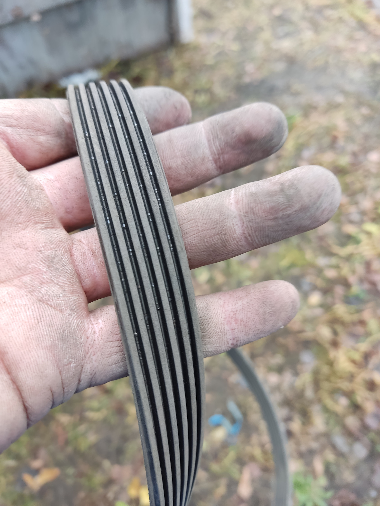 Замена обводного ремня генератора и ролика натяжителя — DRIVE2