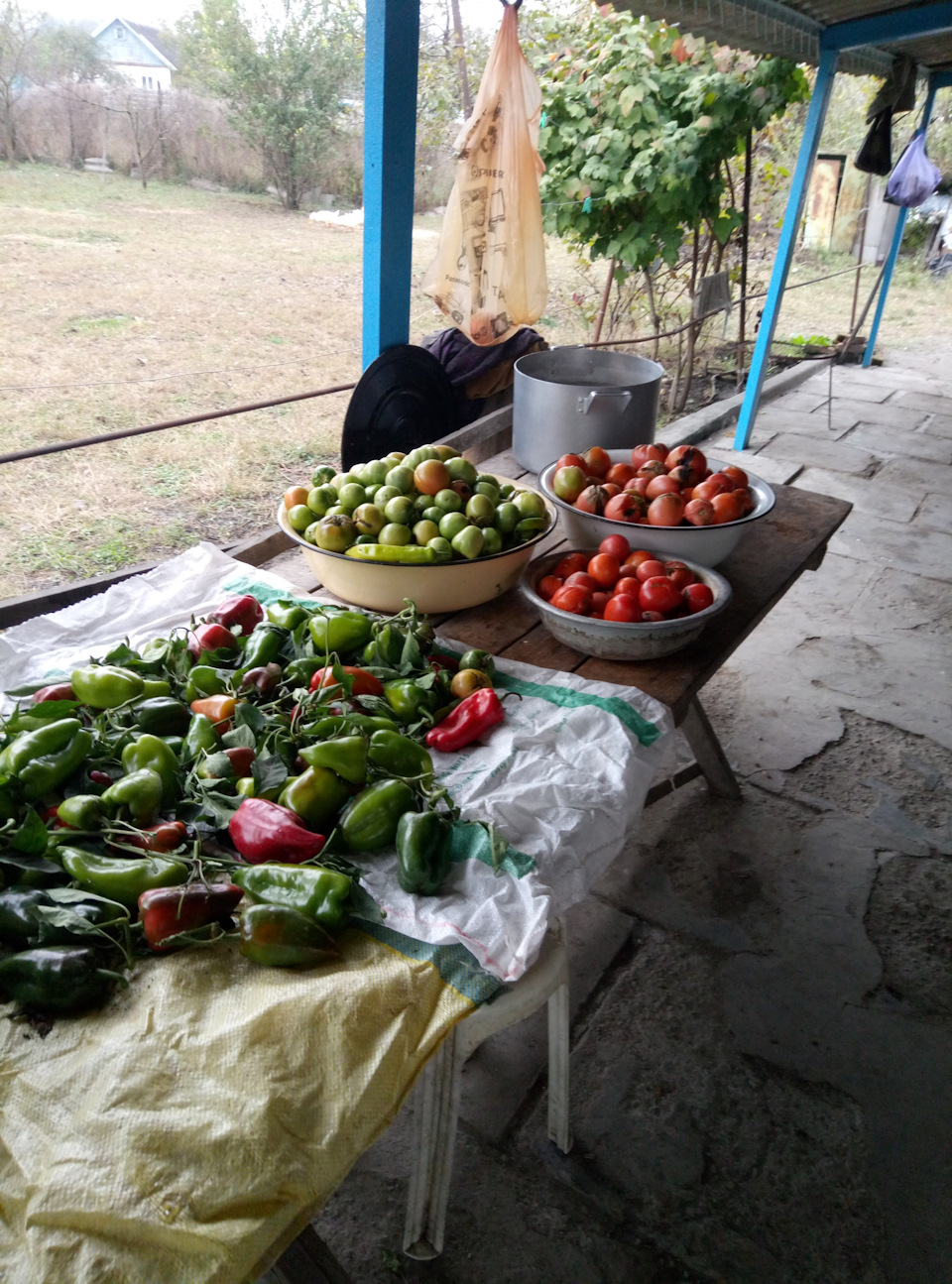 #5. Хорошо в краю Родном, пахнет сеном и. — DRIVE2