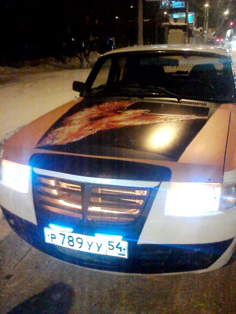 Фото в бортжурнале ГАЗ 3110