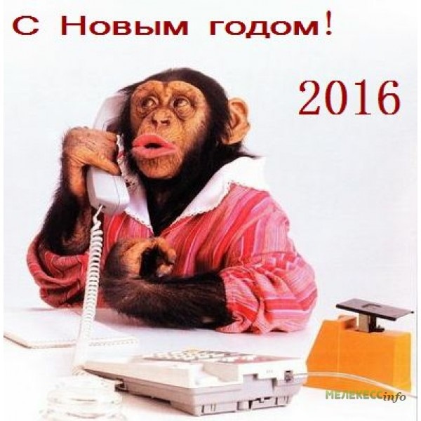 Приколы в картинках 2016 год