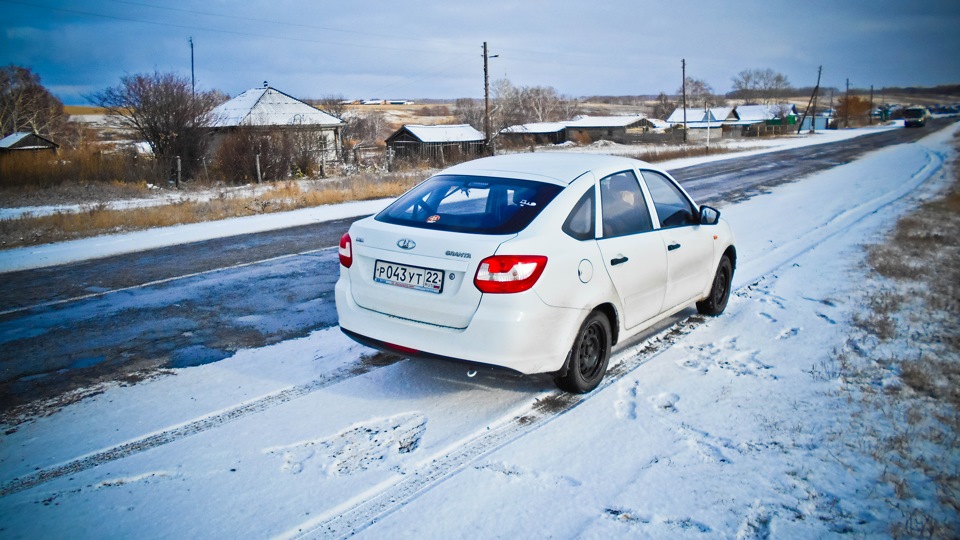 Белая гранта зимой