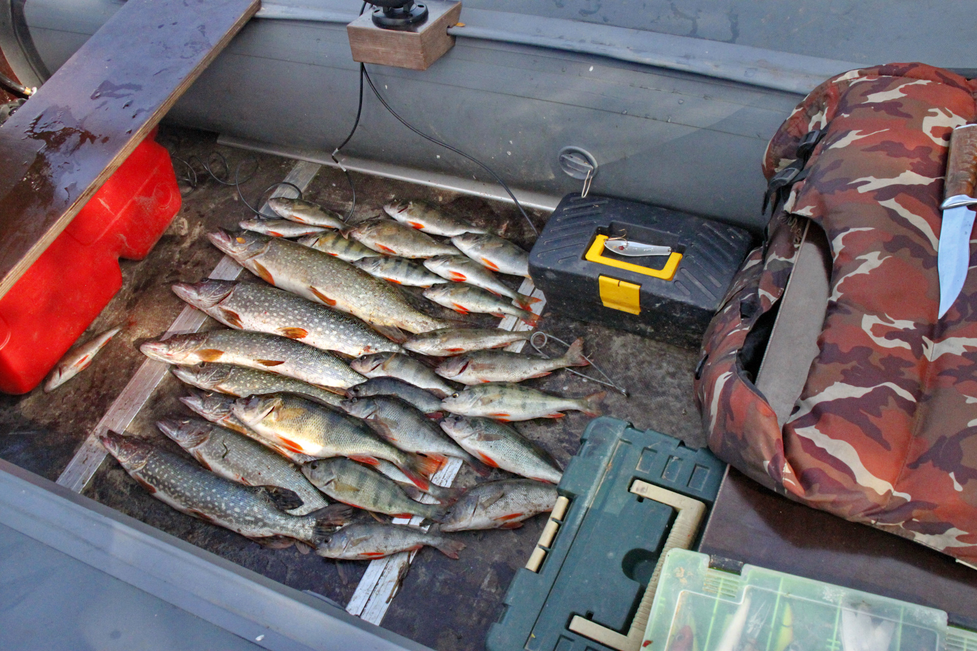 Ловим рыбу в карелии. Рыбалка в Карелии. Рыба Карелии. Рыболовство в Карелии. Рыболовные базы в Карелии.