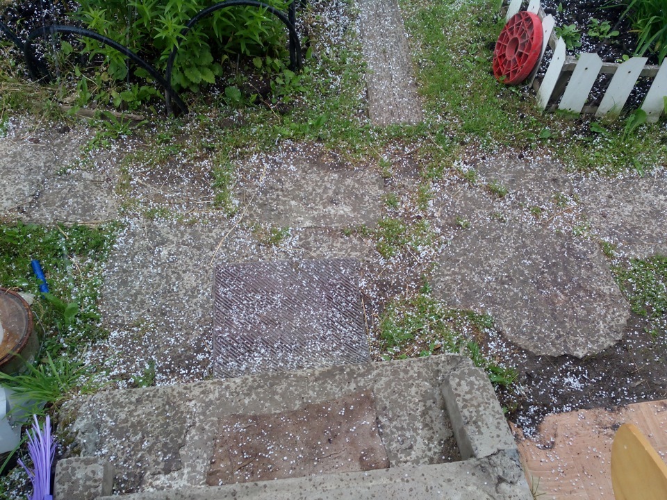 Погода Питер 16 июня 2014 года — DRIVE2