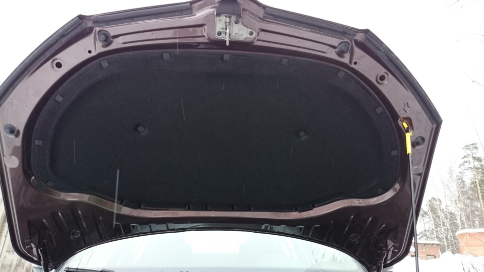 Мелочь, а приятно! — Skoda Octavia A7 Mk3, 1,4 л, 2014 года ...