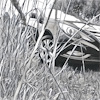 E70 всегда включены габариты в авто