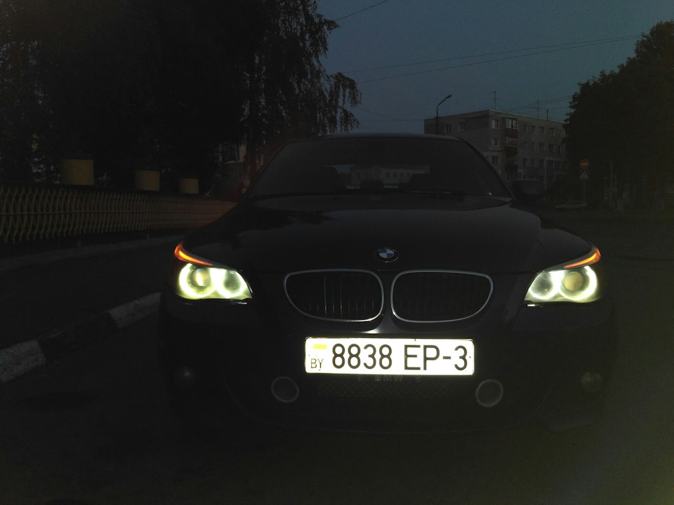 Светодиоды "Ангельские глазки" — BMW 5 series (E60), 3 л, 2004 года ...