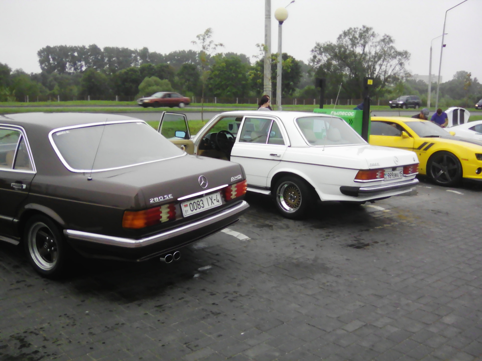 Чужие фотки Мерса) — Mercedes-Benz S-Class (W126), 2,8 л, 1983 года |  встреча | DRIVE2