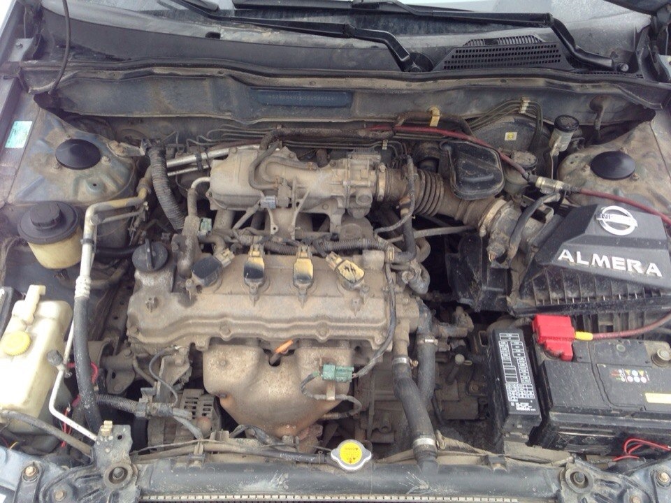 Замена масла и т.д. — Nissan Almera II (N16), 1,5 л, 2005 года ...