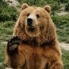 ровный пол уаз патриот. Смотреть фото ровный пол уаз патриот. Смотреть картинку ровный пол уаз патриот. Картинка про ровный пол уаз патриот. Фото ровный пол уаз патриот