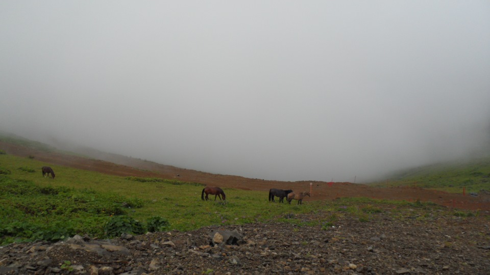 Абхазия 2015. Рицинский реликтовый национальный парк (РРНП).Часть 7 ...