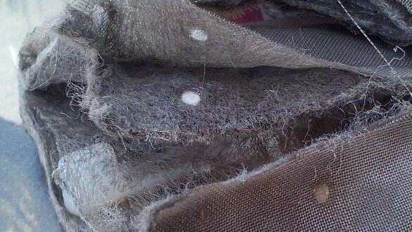 Сеточка бензонасоса — Chevrolet Lacetti 5D, 1,6 л, 2012 года | плановое ...