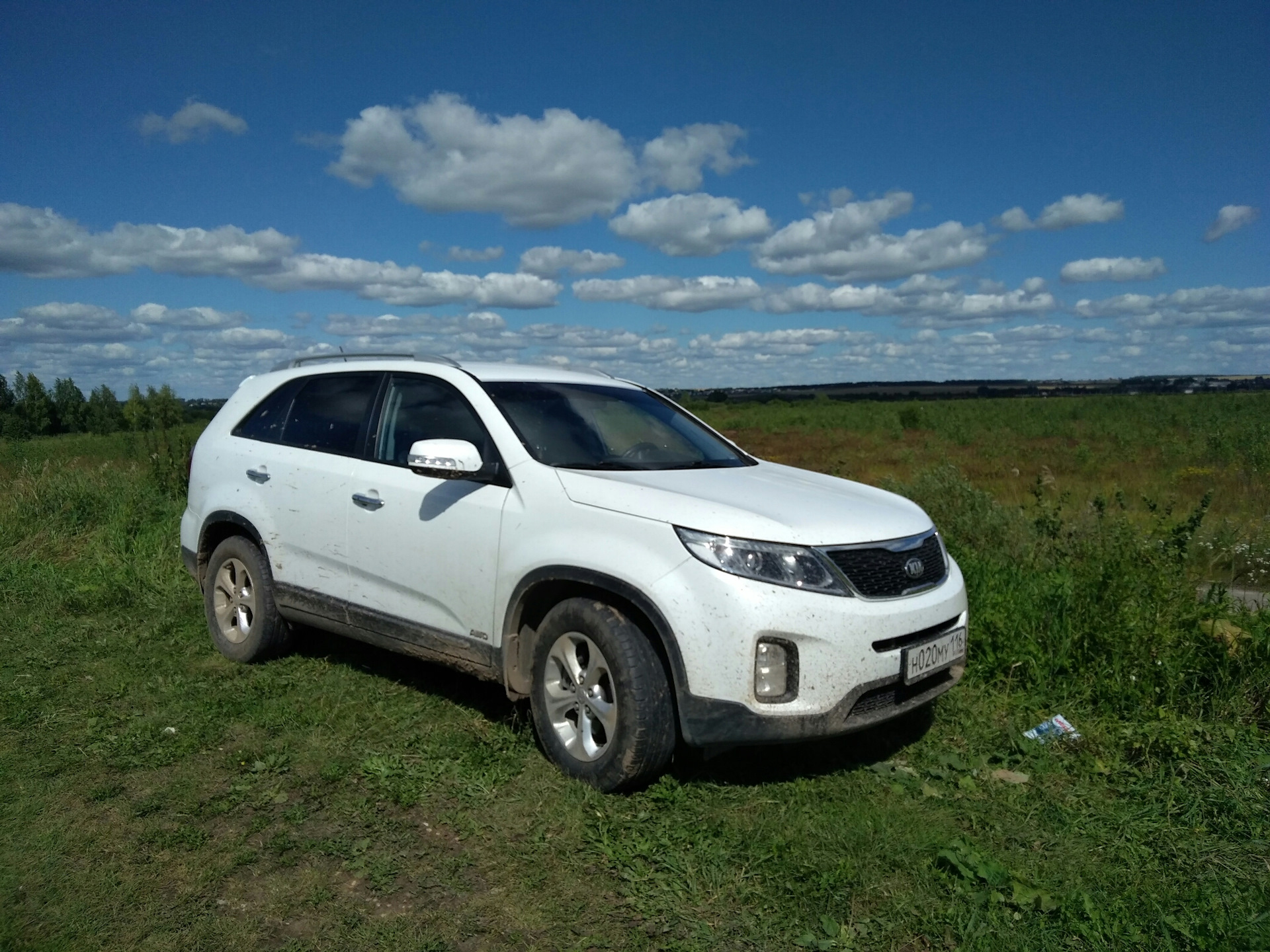 Kia Sorento 2013 белая