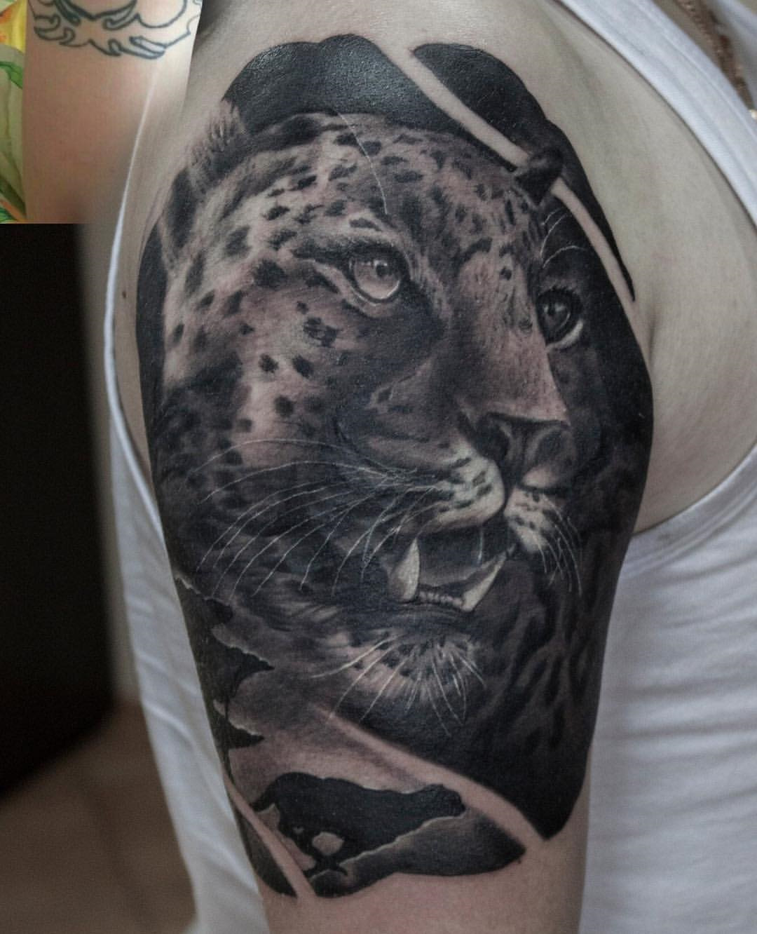Тату барс. Снежный барс тату. Тату ирбис. Снежный барс татуировка оскал. Барс тату эскизы.