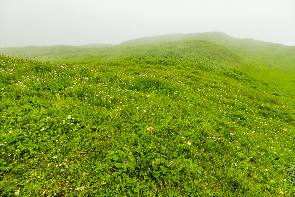 альпийские луга что это такое. Смотреть фото альпийские луга что это такое. Смотреть картинку альпийские луга что это такое. Картинка про альпийские луга что это такое. Фото альпийские луга что это такое альпийские луга что это такое. Смотреть фото альпийские луга что это такое. Смотреть картинку альпийские луга что это такое. Картинка про альпийские луга что это такое. Фото альпийские луга что это такое