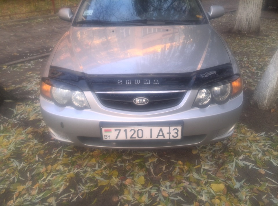 мухобойка и реснички — KIA Shuma II, 1,6 л, 2003 года | тюнинг | DRIVE2