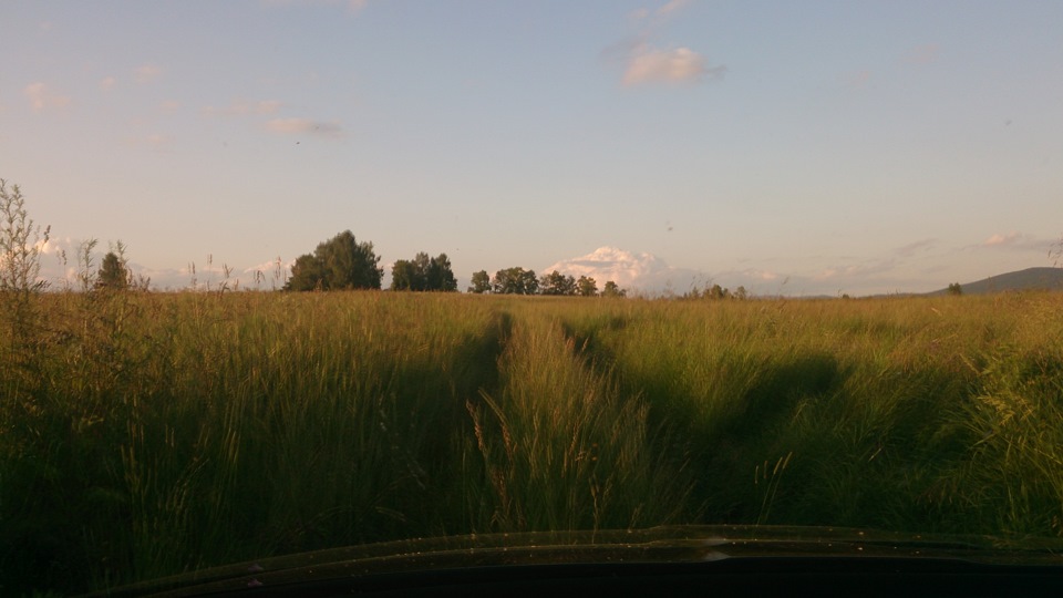 В лес, по грибы да по ягоды) — Skoda Octavia A5 Mk2, 1,6 л, 2013 года ...