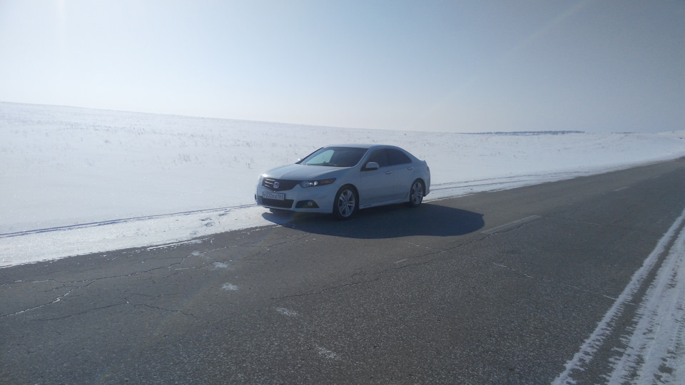 Honda Accord < БЕЛУГА>