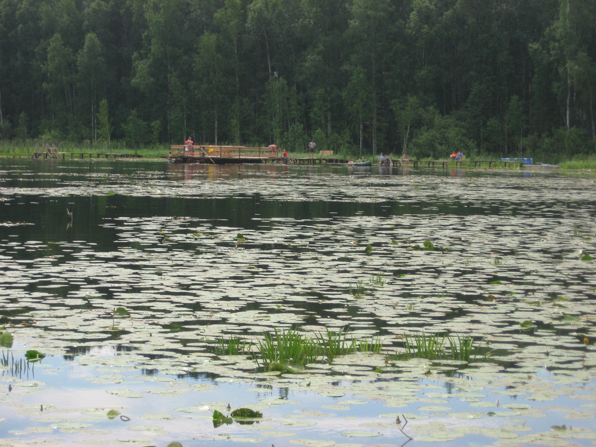 Озеро Линево Омская область