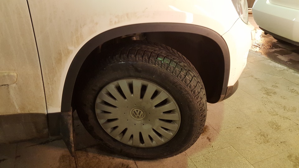 7e6415as 960 машину погрызли собаки что делать