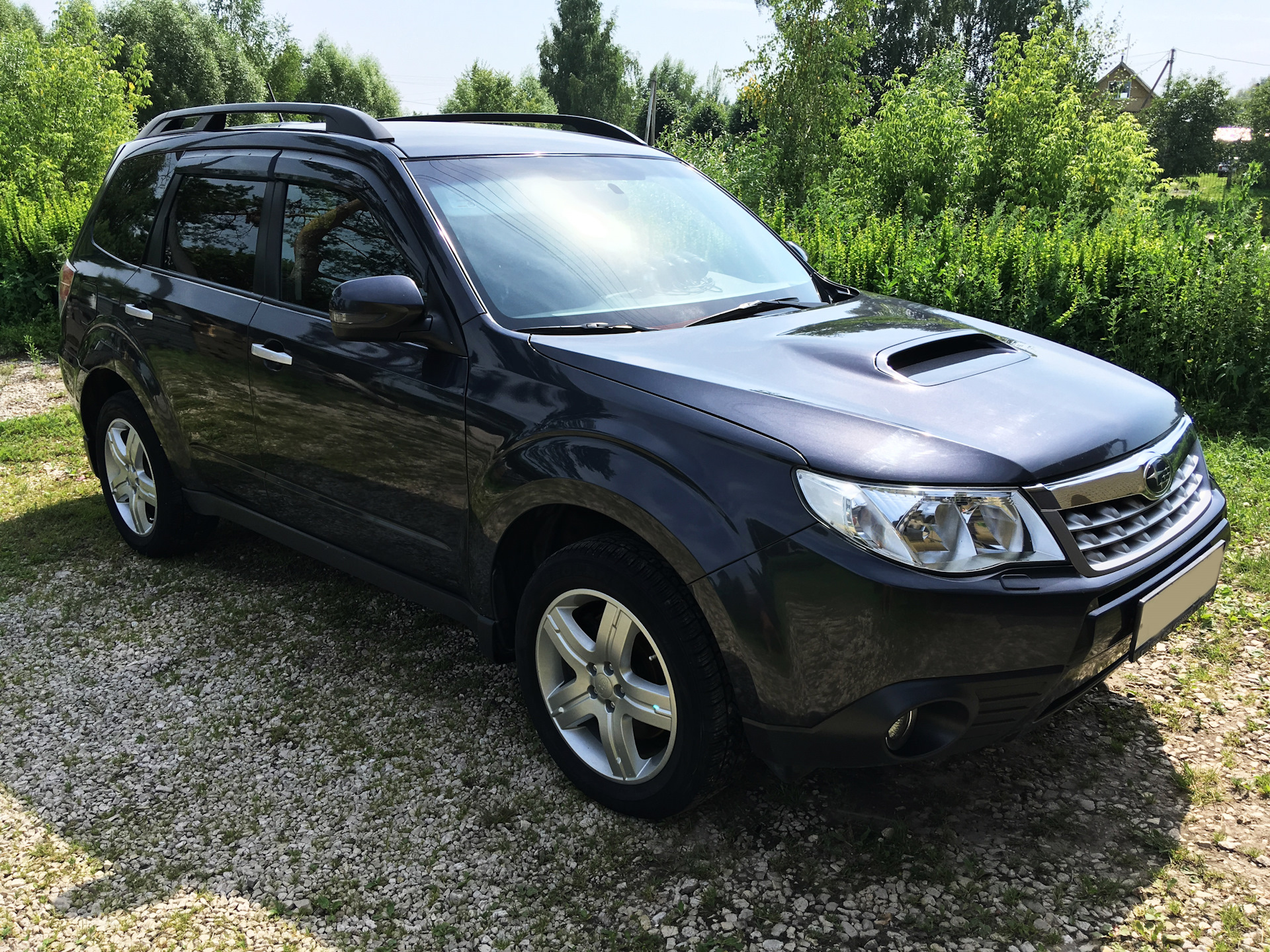 Forester 2010