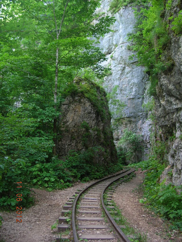 Гуамка. Гуамское ущелье Ореховая роща. Гуамка Ореховая ущелье. Гуамское ущелье горы. Ореховая роща Гуамское ущелье официальный.