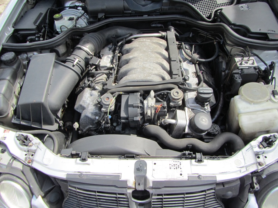 Мерседес 220 113 мотор. Двигатель мерседес w220. Мотор м113 мерседес 4. Мотор мерседес 4. W210 4.