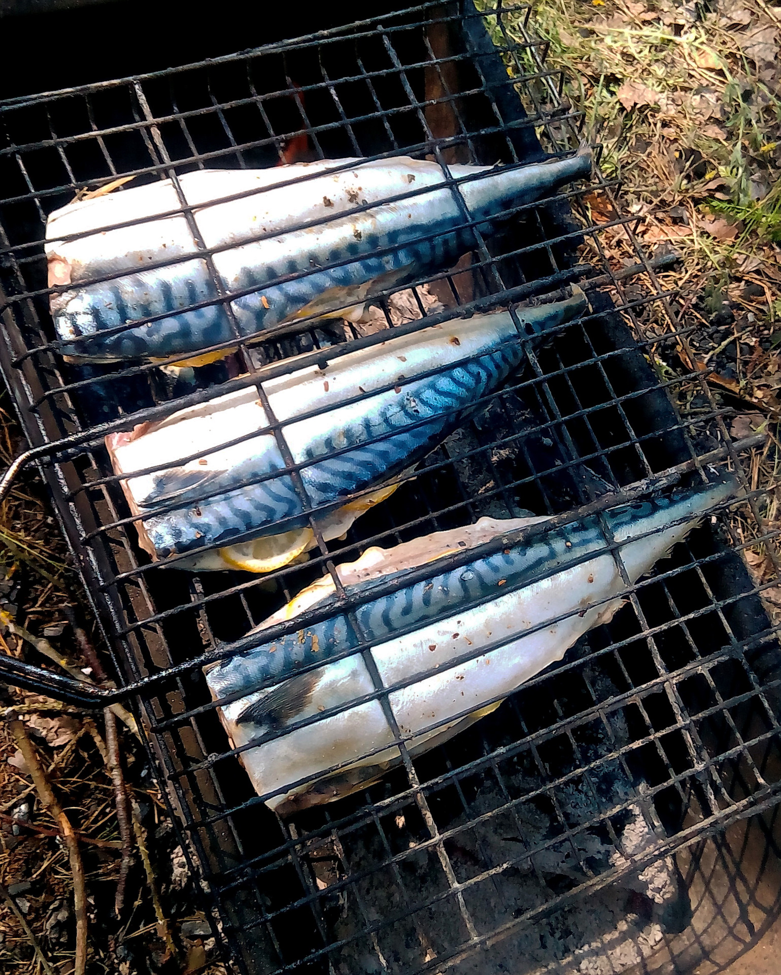 Скумбрия в фольге на углях на решетке