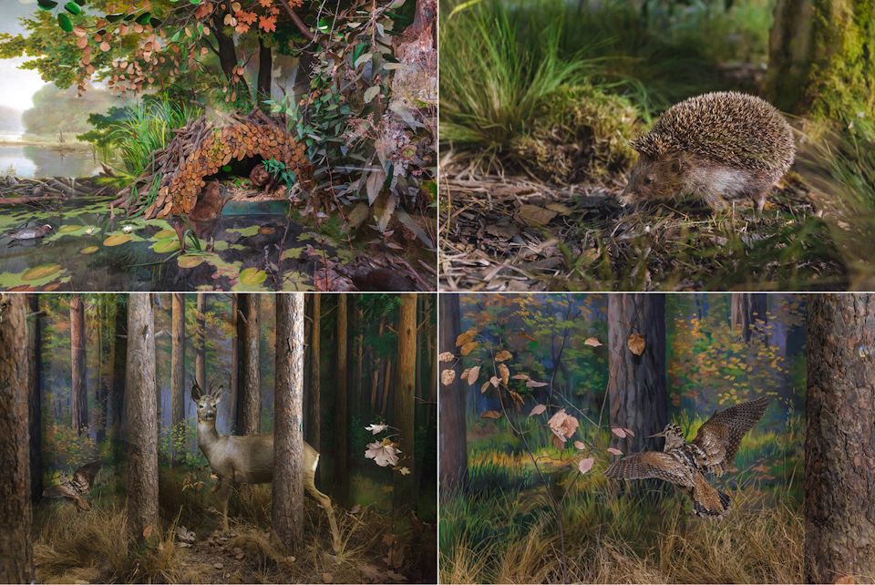 воронежский заповедник история создания. 7e99945s 960. воронежский заповедник история создания фото. воронежский заповедник история создания-7e99945s 960. картинка воронежский заповедник история создания. картинка 7e99945s 960. Липецкая и Воронежская области воронежский заповедник история создания. 7e99945s 960. воронежский заповедник история создания фото. воронежский заповедник история создания-7e99945s 960. картинка воронежский заповедник история создания. картинка 7e99945s 960. Липецкая и Воронежская области