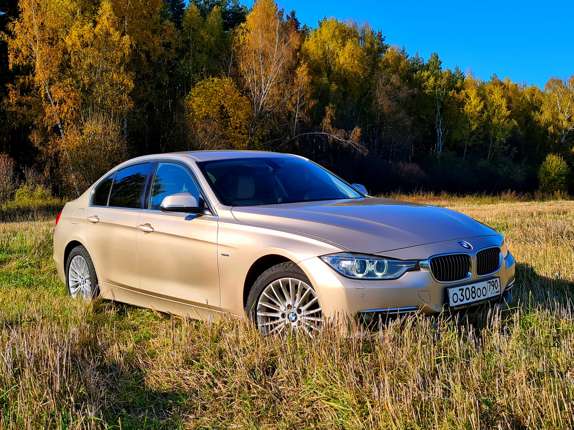 Те несколько дней в году, когда цвет машины в тему — BMW 3 series (F30), 2  л, 2013 года | фотография | DRIVE2