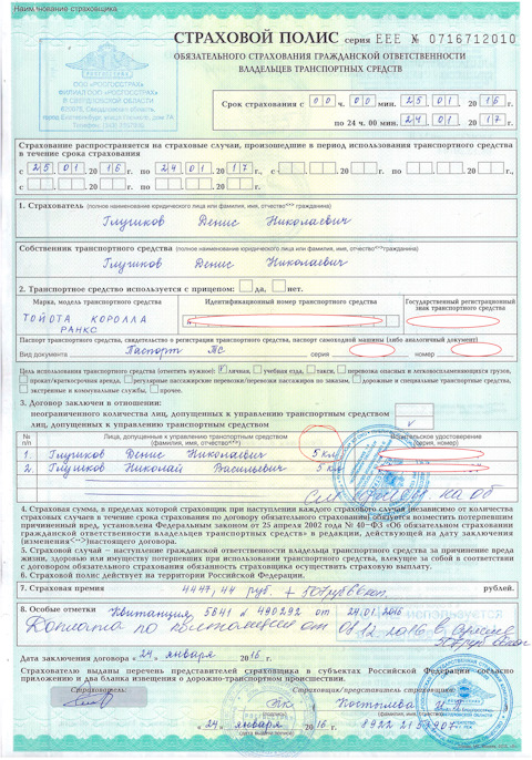 Как должен выглядеть страховой полис