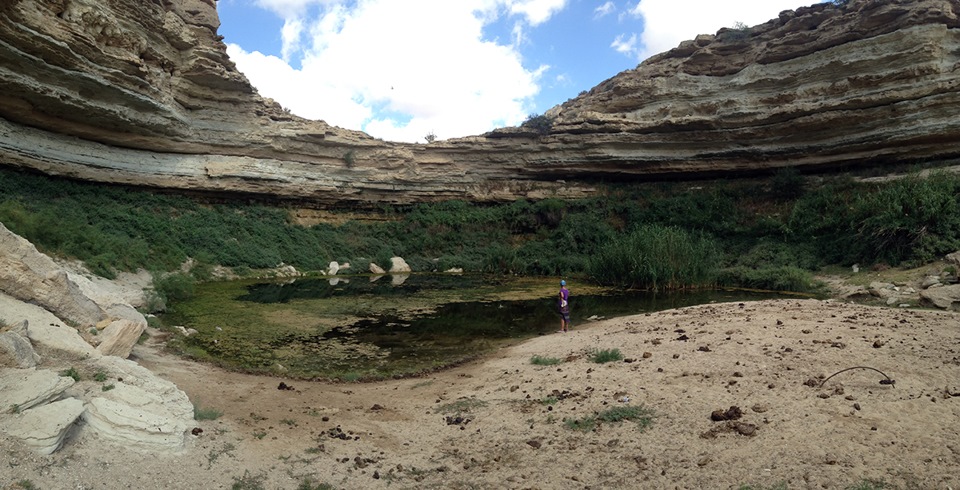 Пресное озеро — Toyota Land Cruiser 100