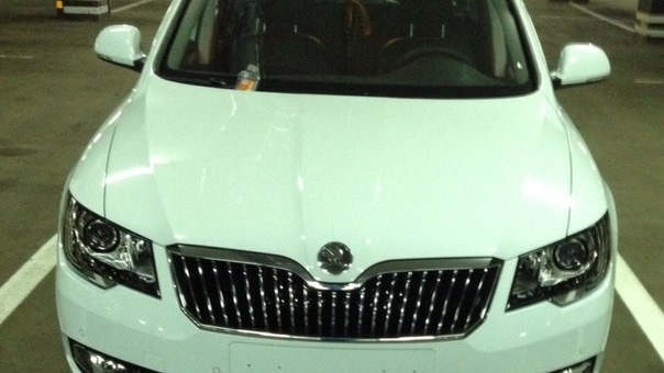 оригинальный карандаш для подкраски сколов — Skoda Superb Combi (Mk2 ...