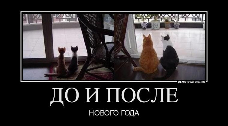 Прикольные картинки с выходом на работу после новогодних праздников