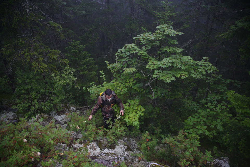 Фото в бортжурнале Toyota HiAce (H100)