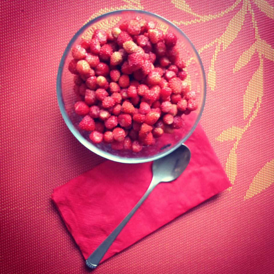 Борьба с перегревом. Замена неисправной релюшки. — Chevrolet Niva (1G ...