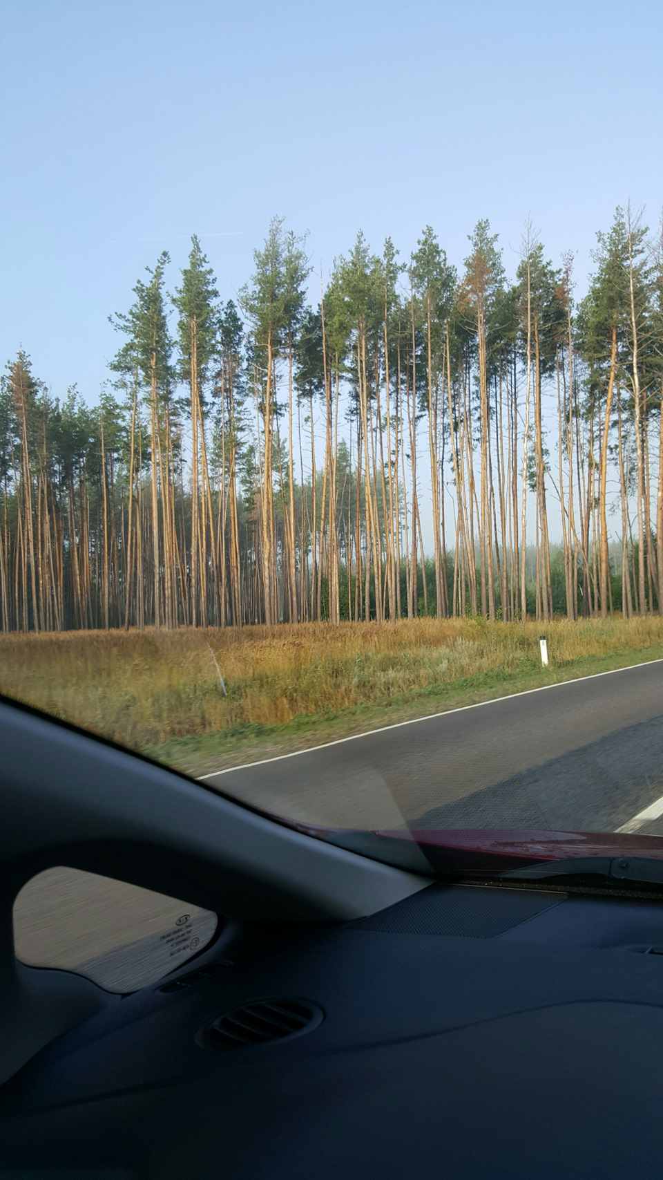 Фото в бортжурнале KIA Ceed (2G)