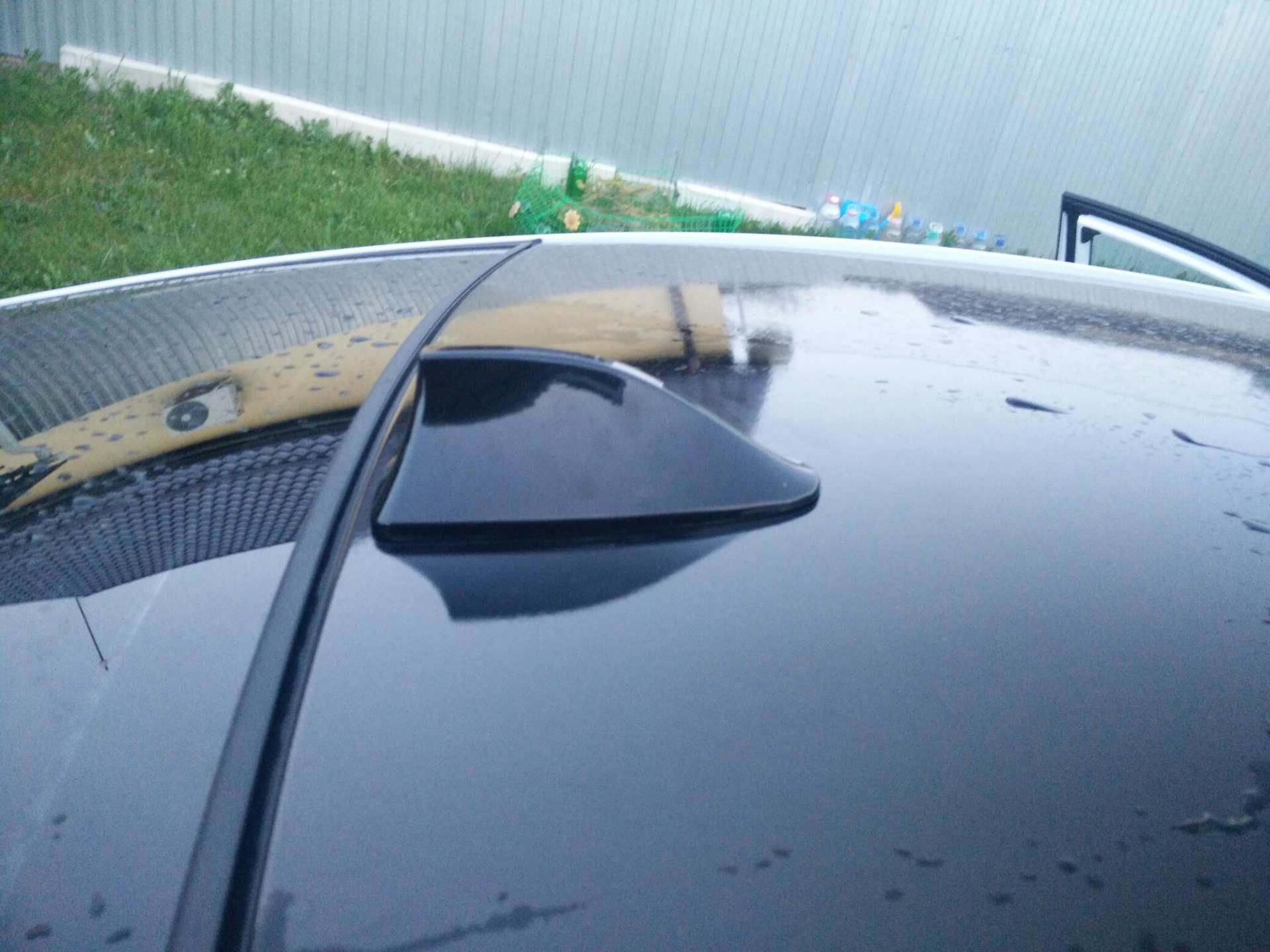 Плавник рио 4. Плавник рио 4. Плавник рио 4. Плавник рио 4. Медиатор акулий плавник.