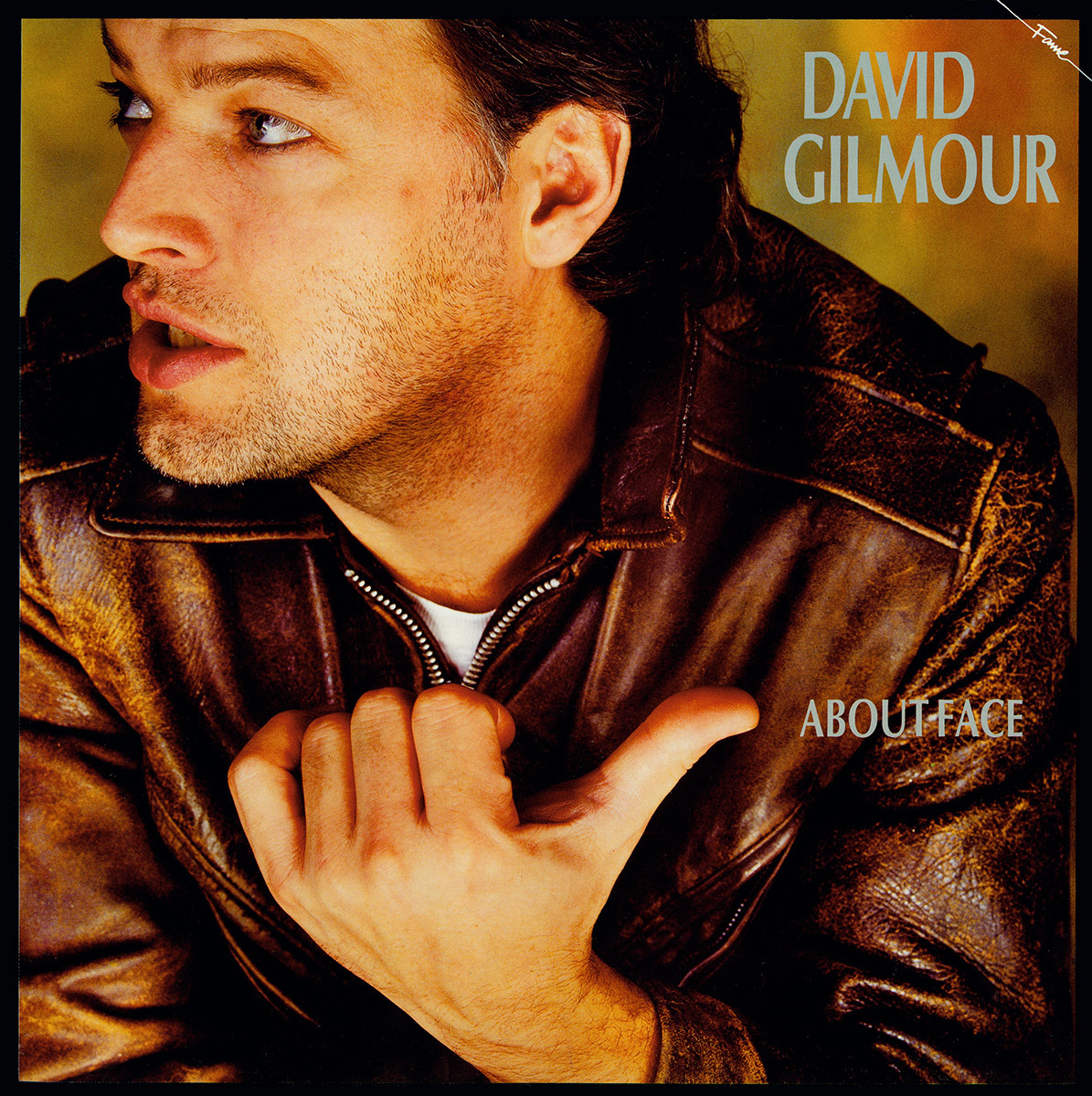 About face. David Gilmour about face 1984. About face Дэвид Гилмор. CD Gilmour, David: about face. Gilmour David "about face".