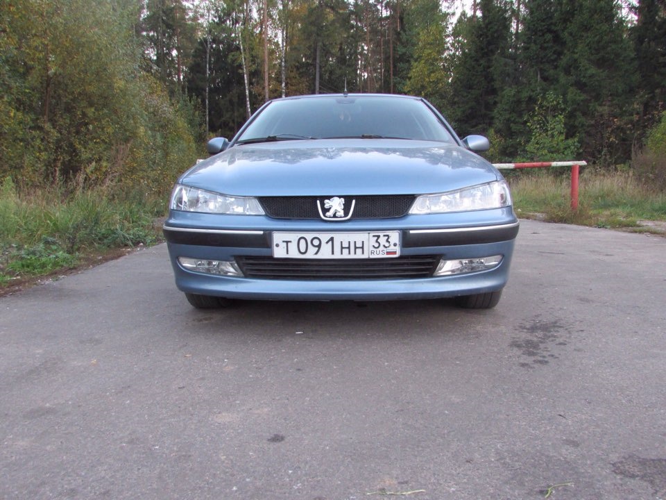 Свежие фотки льва )) — Peugeot 406, 2 л, 2000 года | фотография | DRIVE2