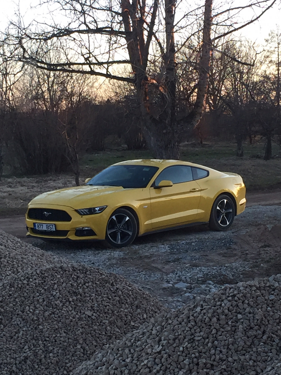 Пришло время продавать мустанга! — Ford Mustang (6G), 3,7 л, 2015 года | продажа  машины | DRIVE2