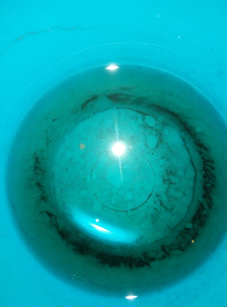 Промыл ДМРВ. — KIA Carnival (2G), 2,9 л, 2007 года своими руками DRIVE2