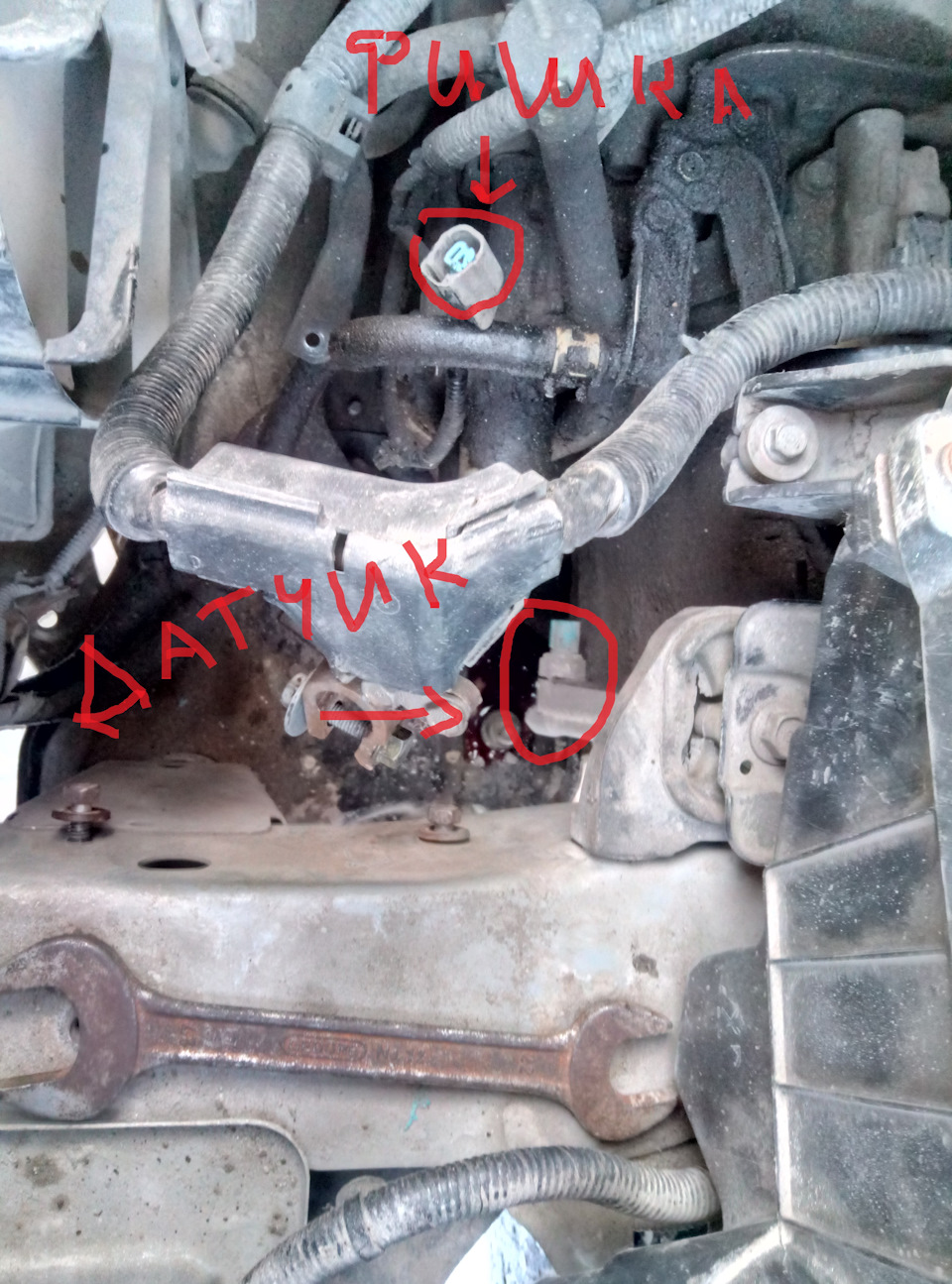 Фото в бортжурнале Honda Accord (7G)