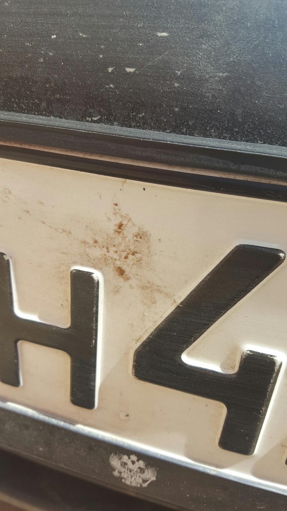 Непонятное жирное насекомое сбила О_о — Daewoo Matiz (M100/M150)