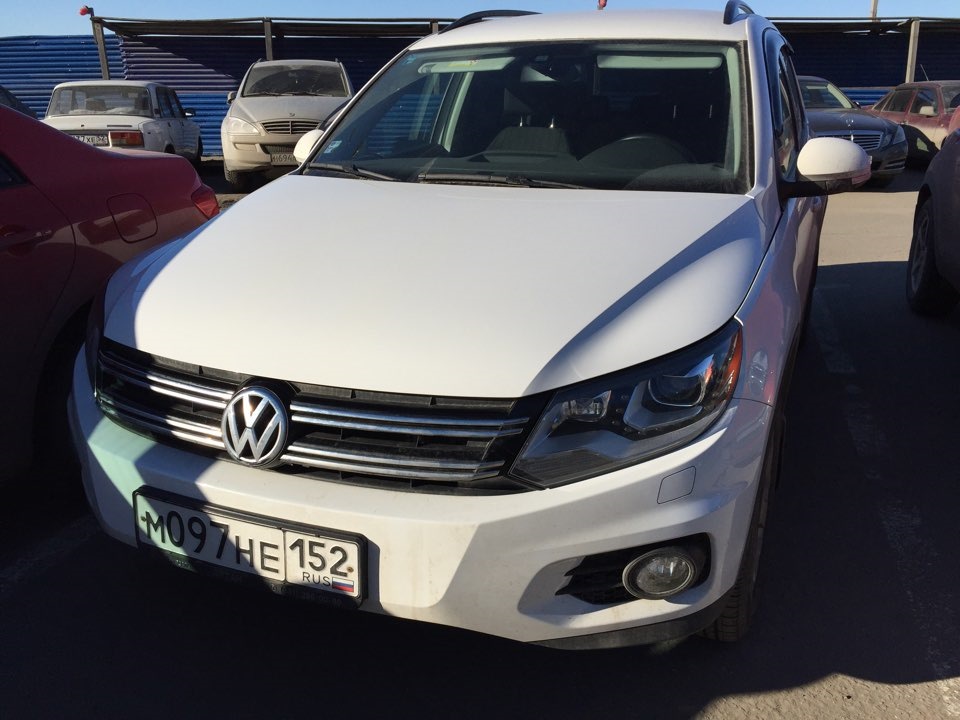 ПОЛИ SOSАГО или ПОЛИSOS САГА)) — Volkswagen Tiguan (1G), 2 л, 2013 года ...