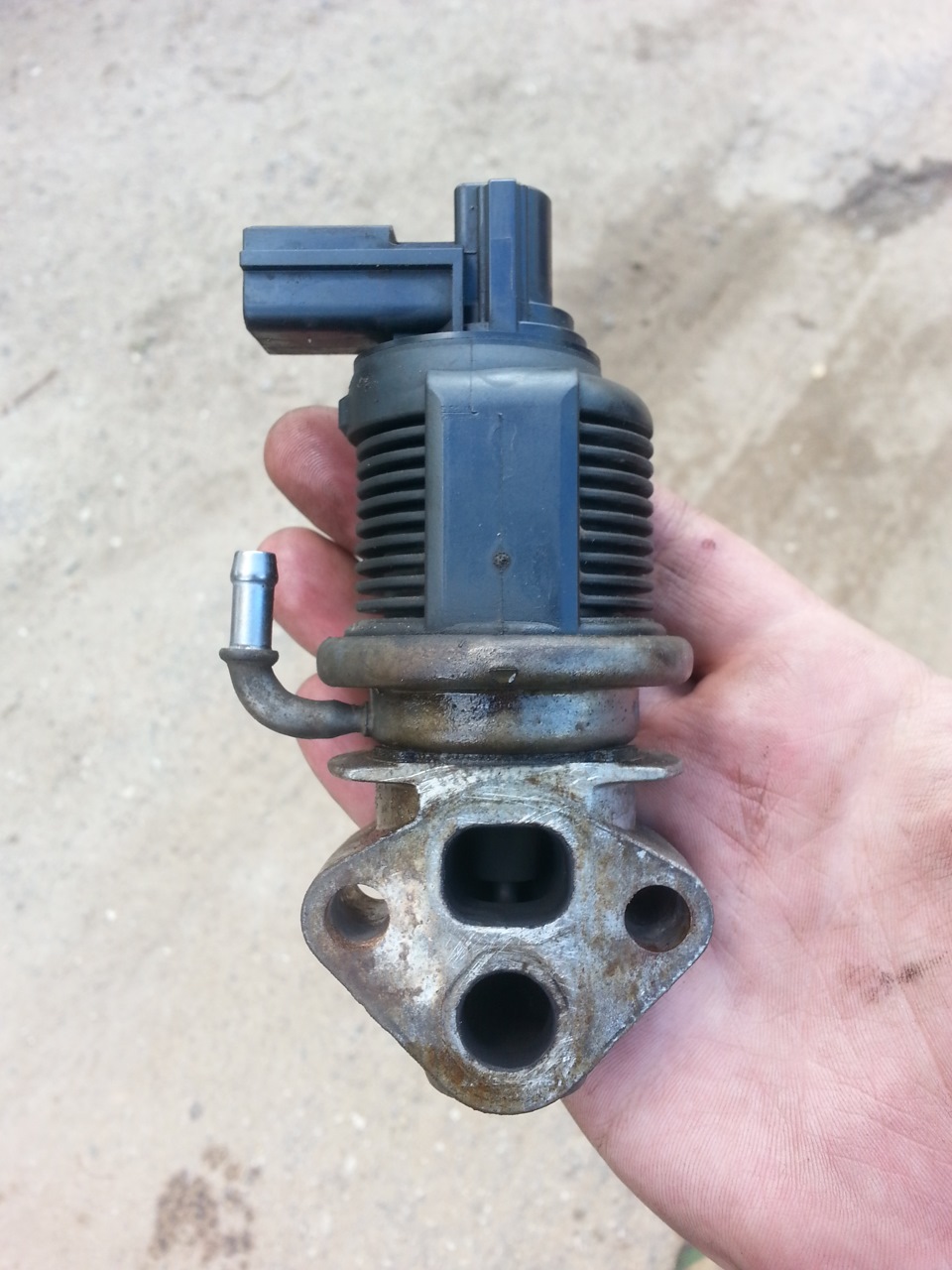 Клапан егр bfq. Клапан егр bfq. Клапан егр bfq. Клапан егр bfq. Клапан егр bfq.