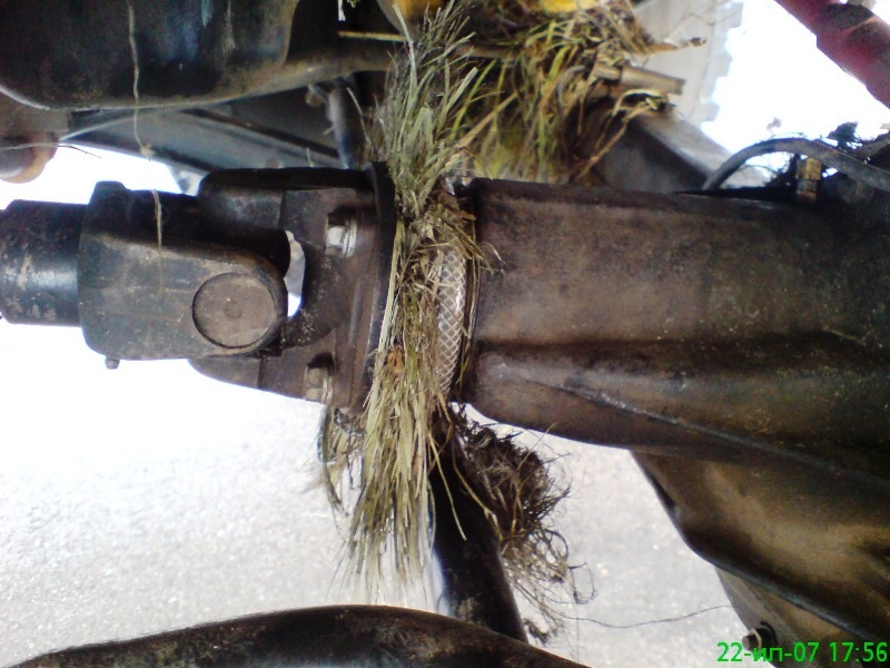 Grass on the cardan - Toyota Land Cruiser 42L 1997