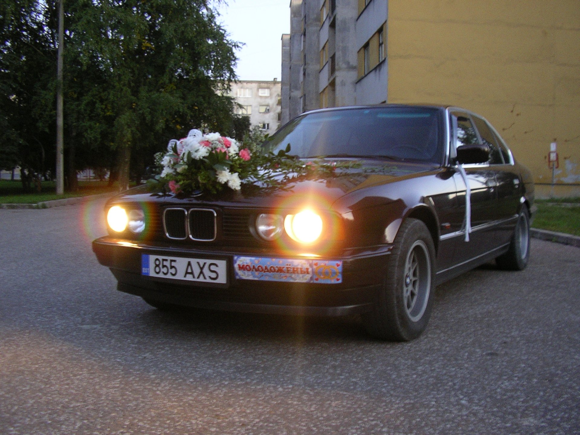 Свадебная… — BMW 5 series (E34), 2 л, 1994 года | покатушки | DRIVE2