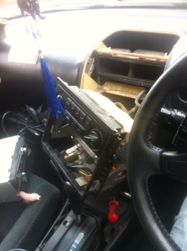 Кот не хотел мяукать и мявкал все песни с флешки сначала — Honda Ascot ...