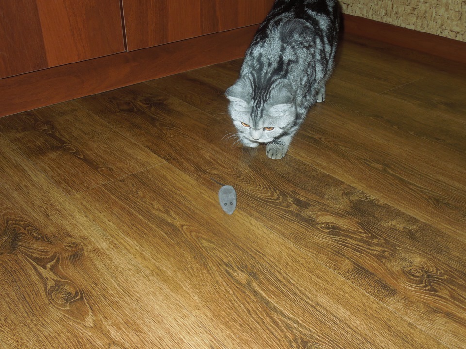 Фото в бортжурнале Toyota Corolla (100)